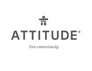 Attitude