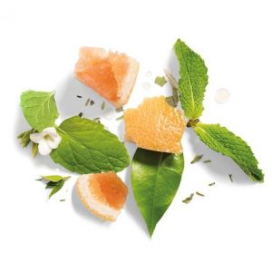Шампоани и балсами за коса